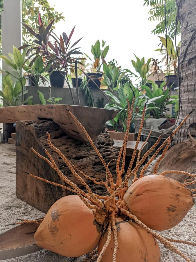 Dhoadhi Retreat Hotel Thulusdhoo Luaran gambar