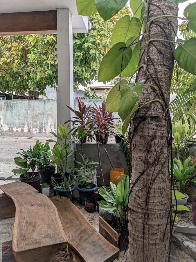 Dhoadhi Retreat Hotel Thulusdhoo Luaran gambar