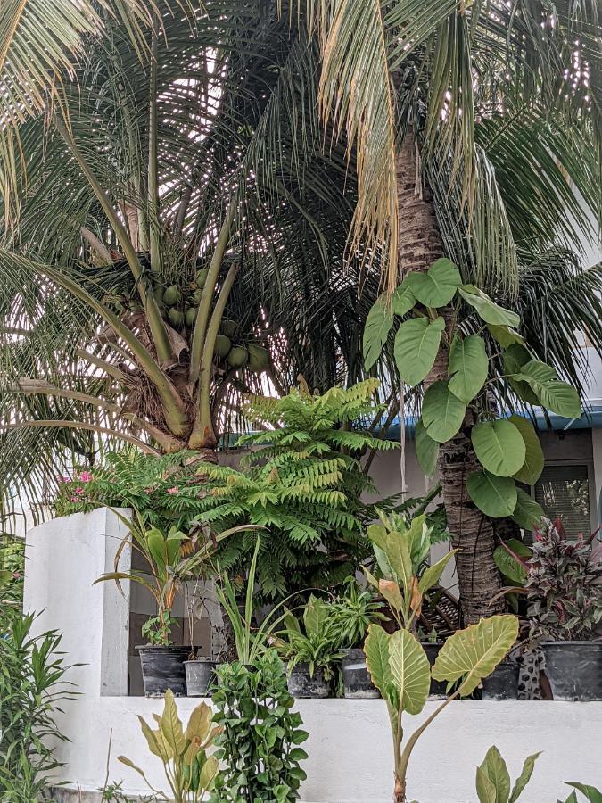Dhoadhi Retreat Hotel Thulusdhoo Luaran gambar