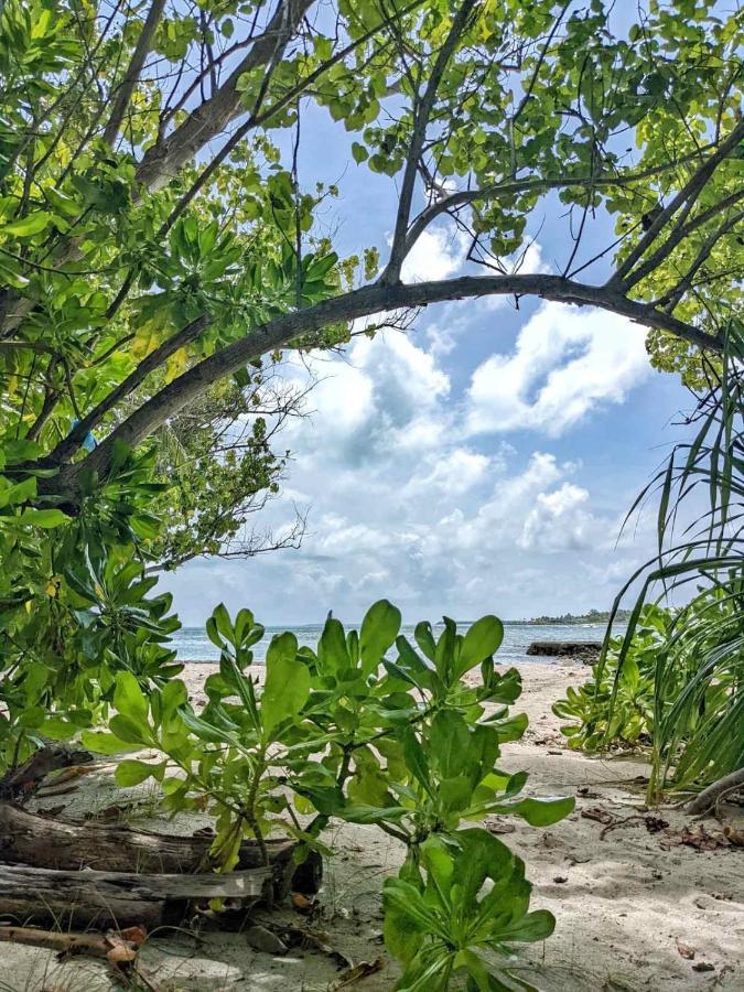 Dhoadhi Retreat Hotel Thulusdhoo Luaran gambar