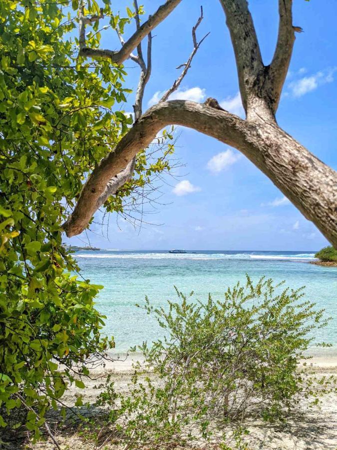 Dhoadhi Retreat Hotel Thulusdhoo Luaran gambar