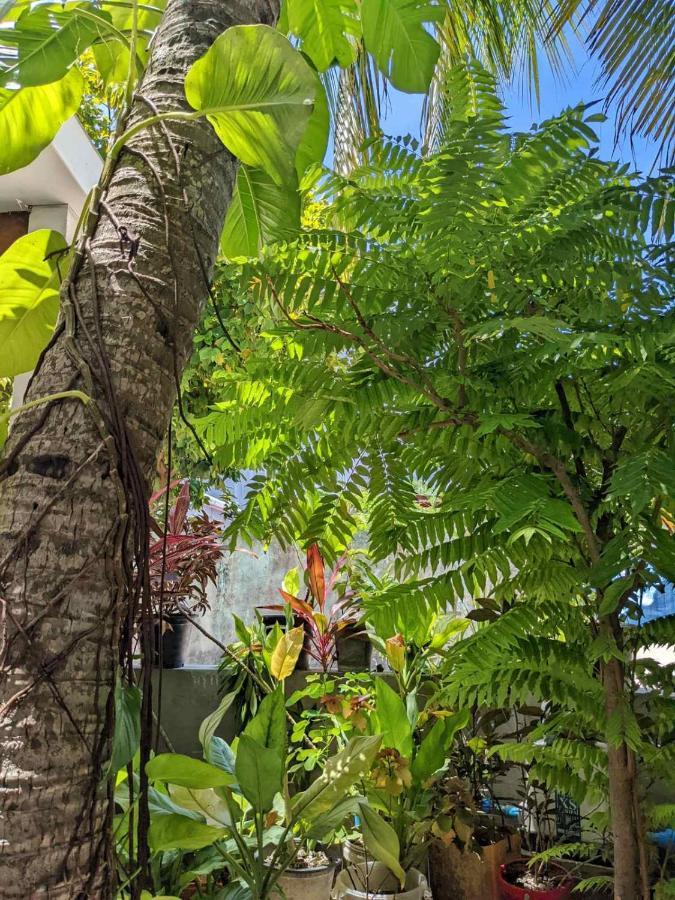 Dhoadhi Retreat Hotel Thulusdhoo Luaran gambar