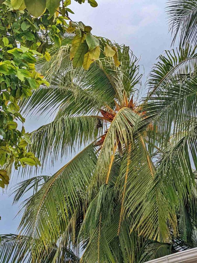 Dhoadhi Retreat Hotel Thulusdhoo Luaran gambar